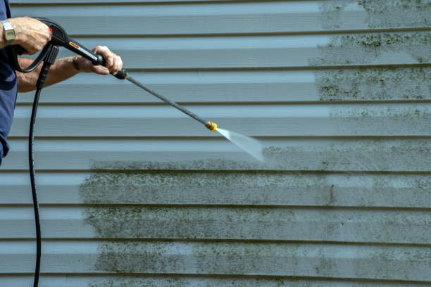 Best Gutter Cleaning  in Red Lake Falls, MN